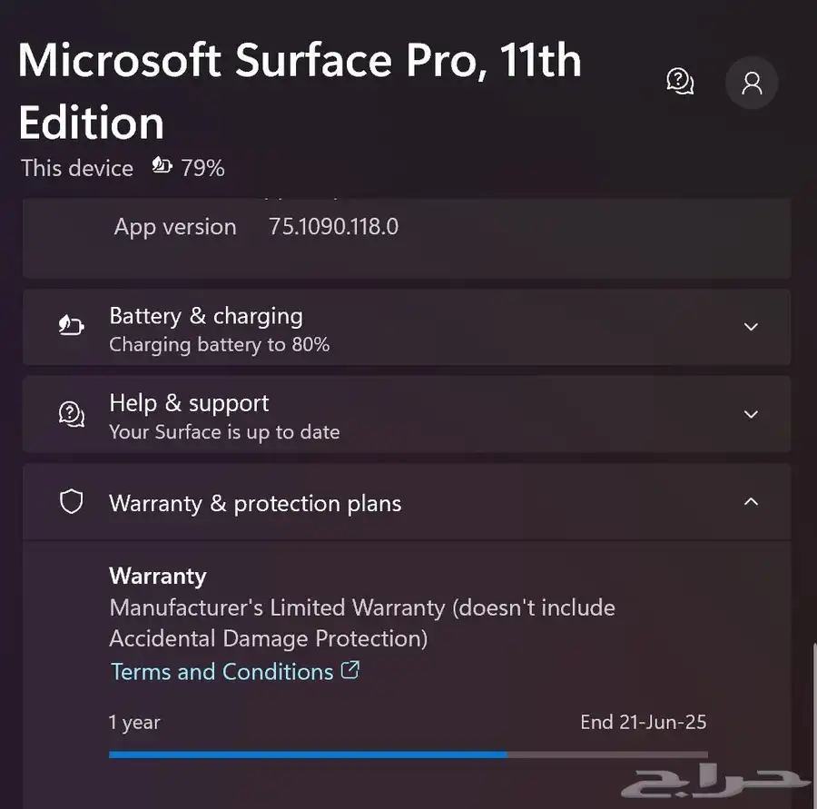 Microsoft Surface Pro 11 XElite 1TB 3