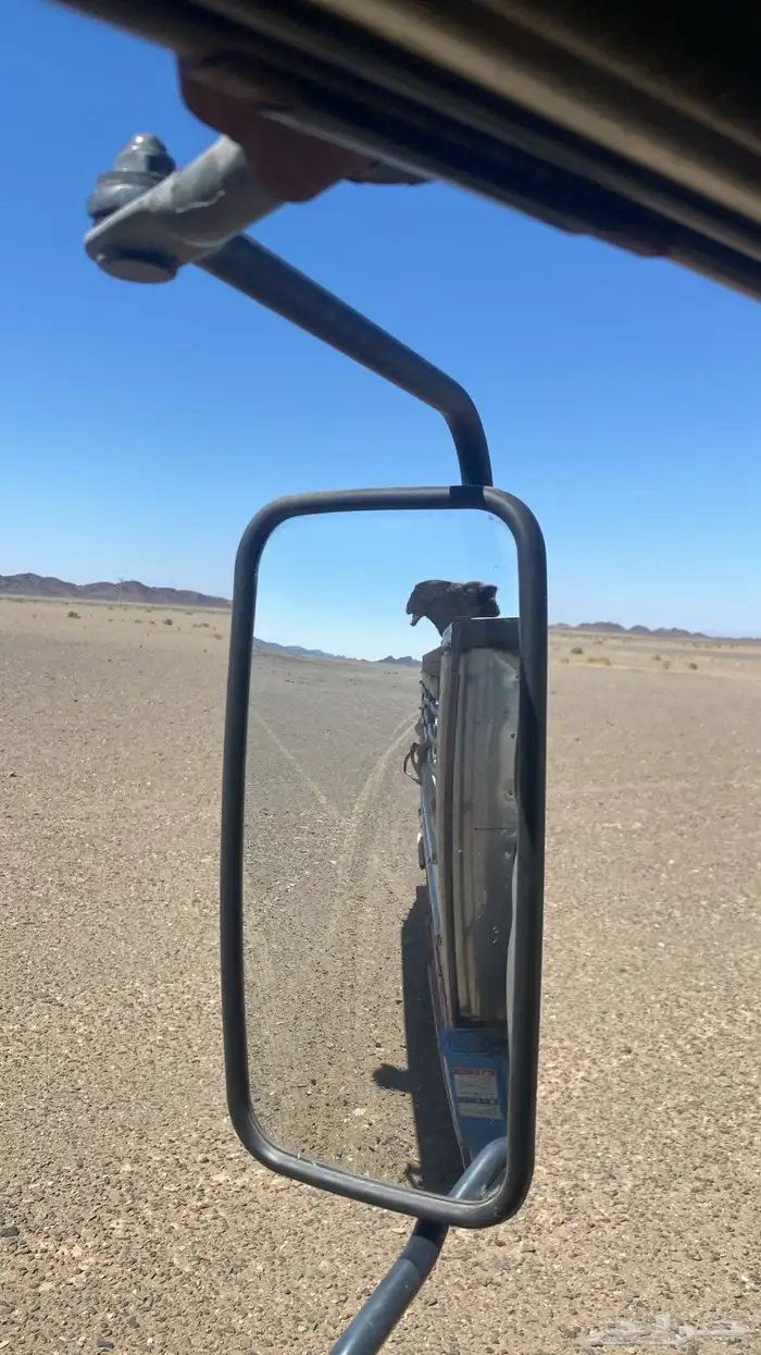 دينه ونش للنقل الابل وإلاغنام لجميع مناطق المملكه 0