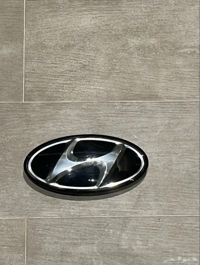 علامة شبك سوناتا ازيرا 18-19 0