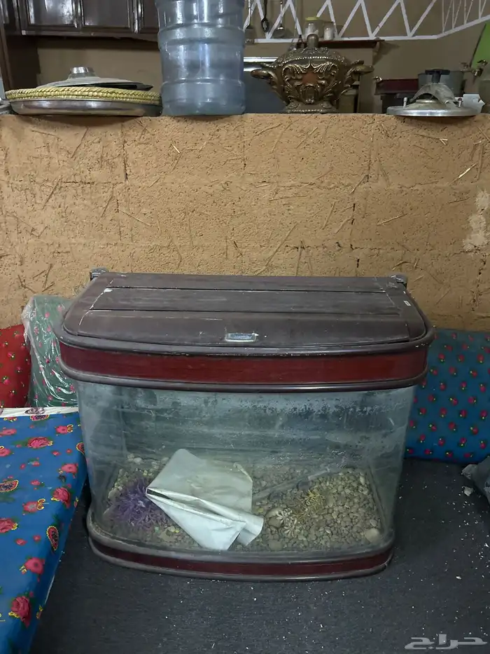 حوض سمك 0