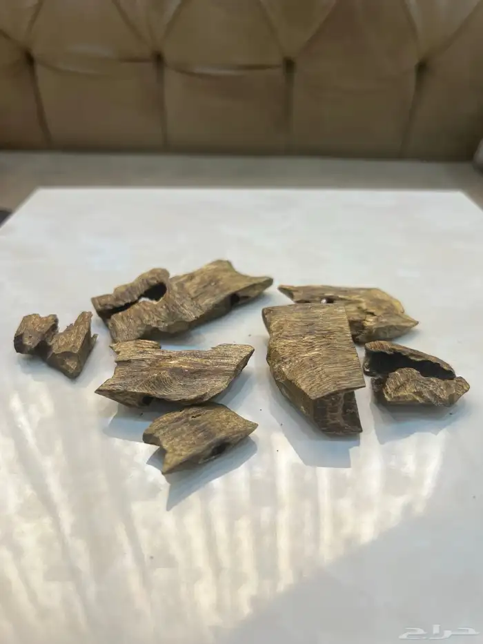 عود كينام الصيني الطبيعي 1