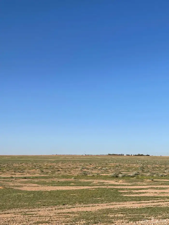 مزرعة 6