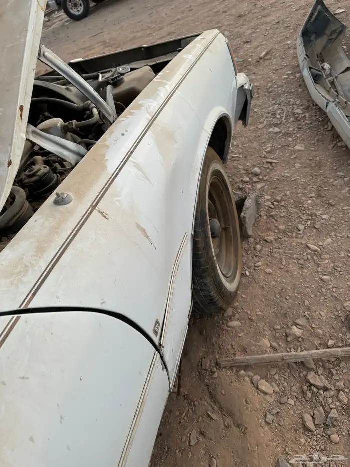 كابرس 83 1