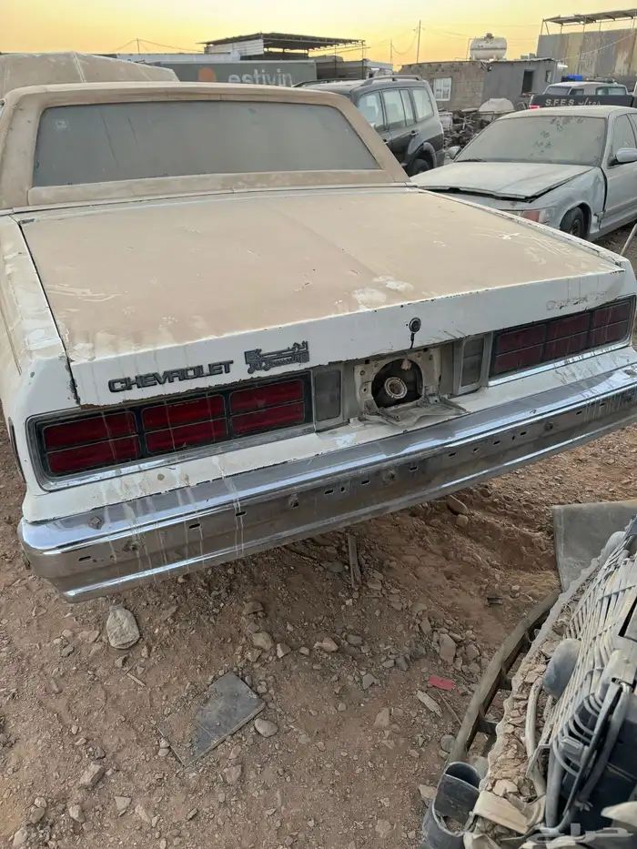 كابرس 83 13