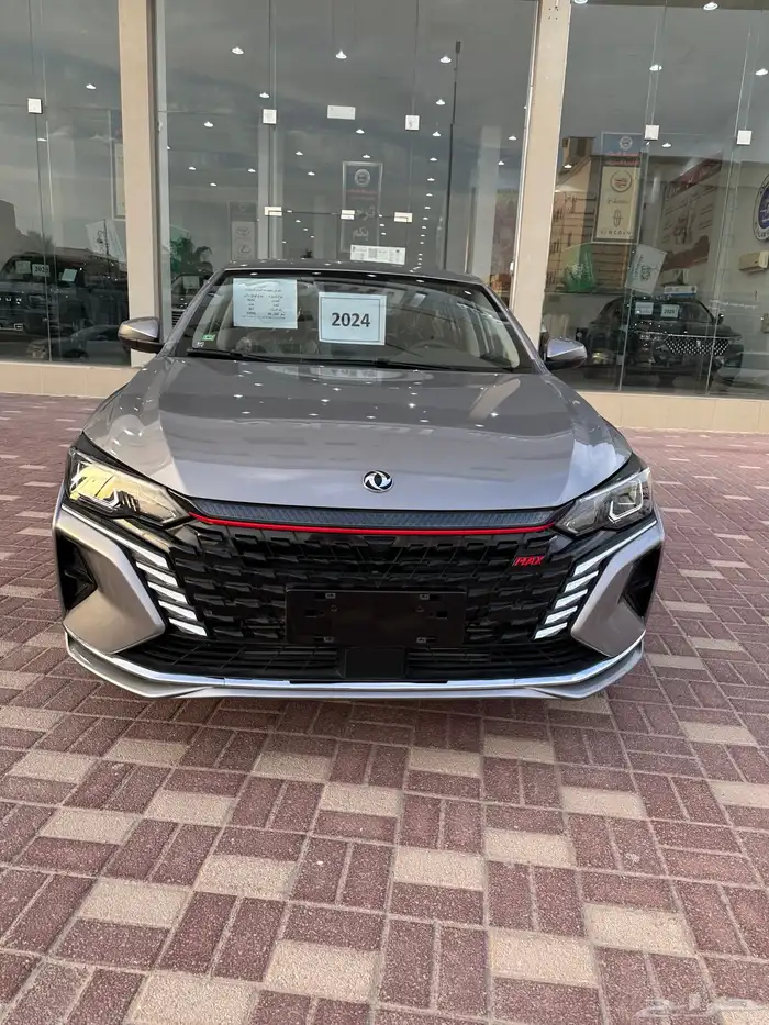 دونج فونج ماكس2024 20