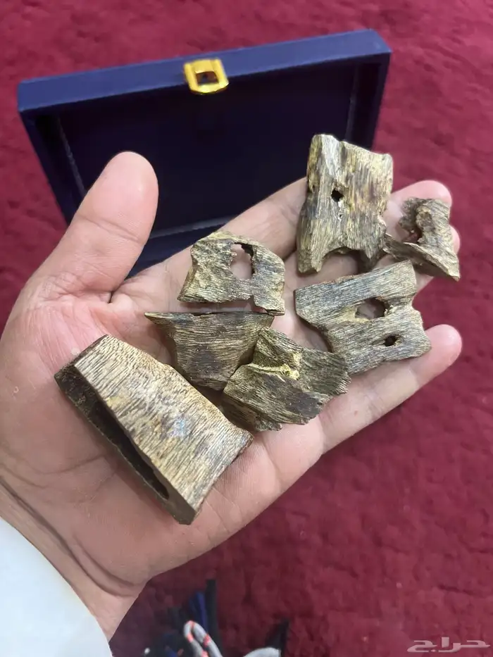 عود كينام الصيني الطبيعي 2