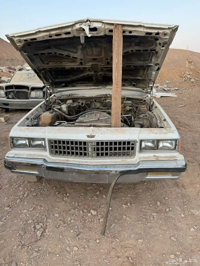 كابرس 83 14
