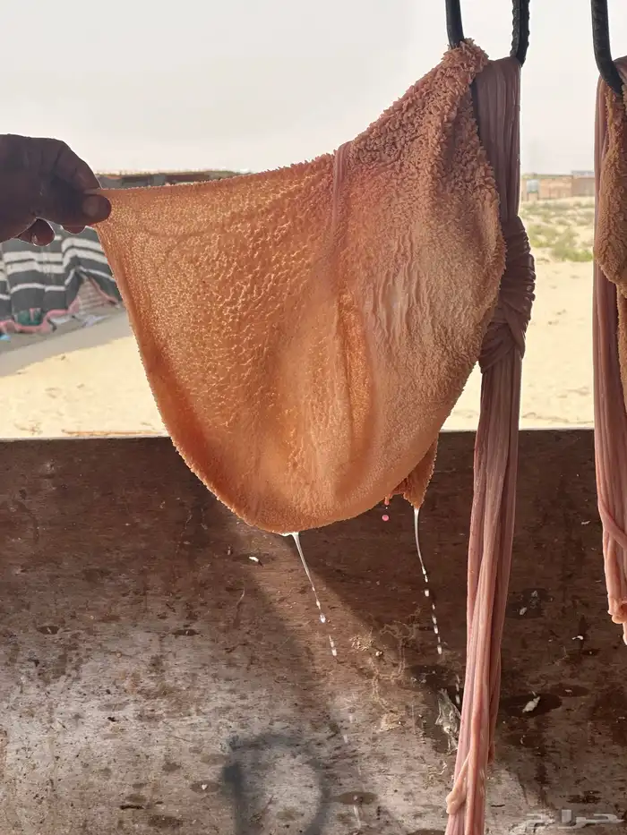 جذعان سواكني مرابي 6