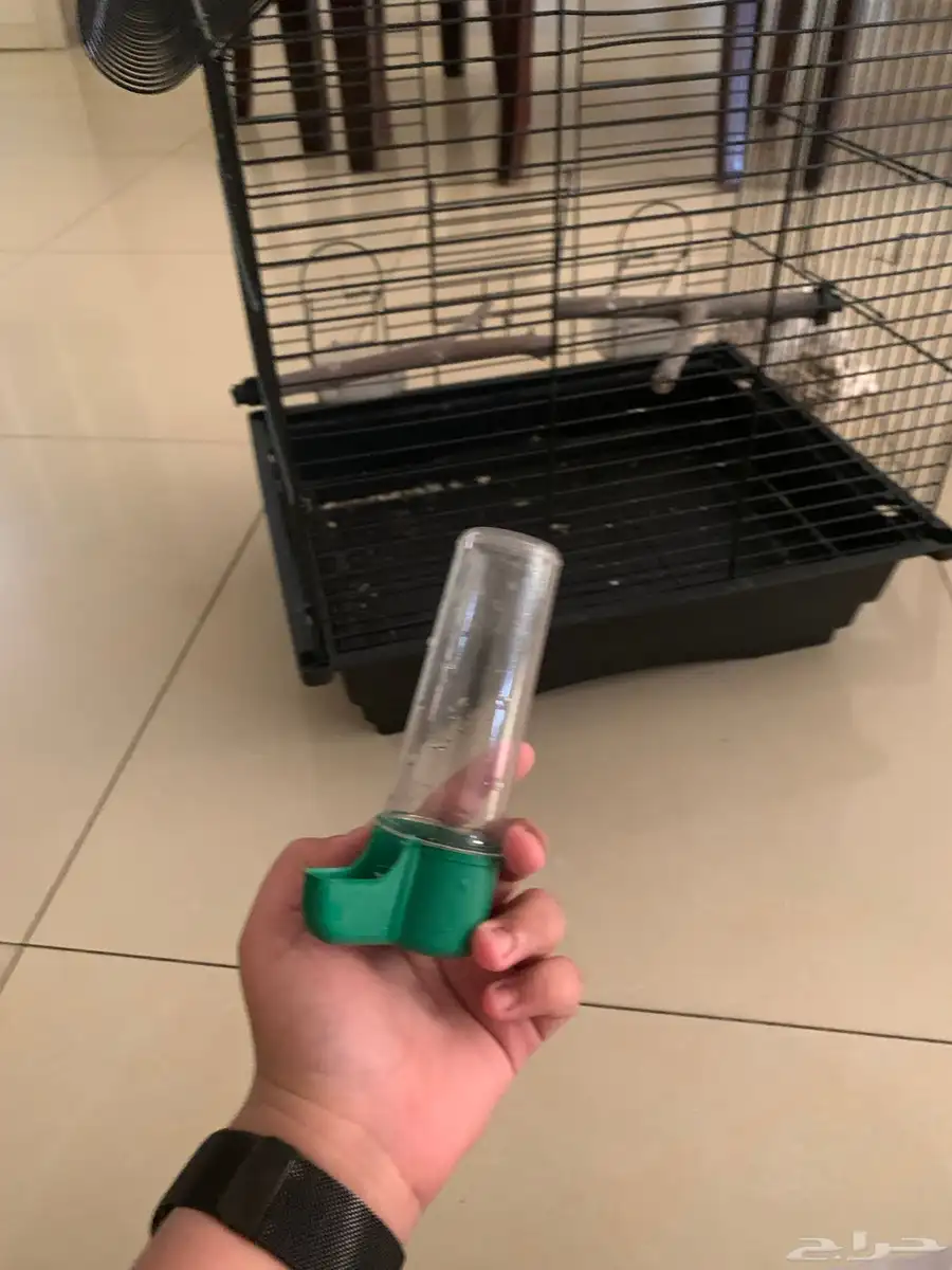 قفص طيور كبير مع أكل ببغاء 1
