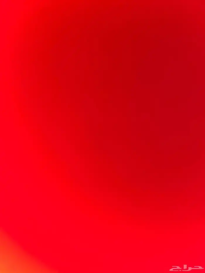 ابي كلب للتبني 0