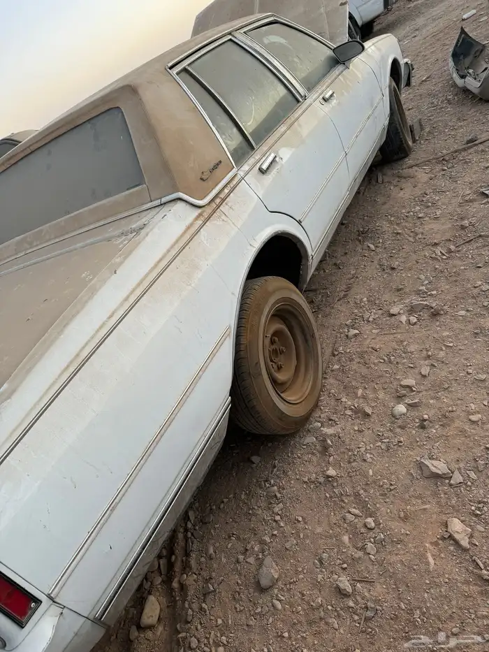 كابرس 83 10