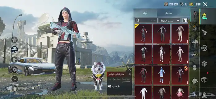 حساب ببجي قوي 0