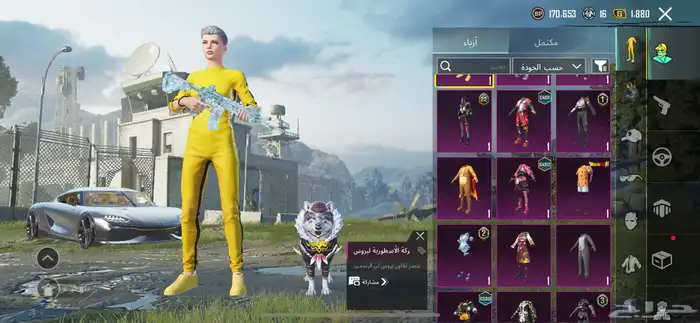 حساب ببجي قوي 8