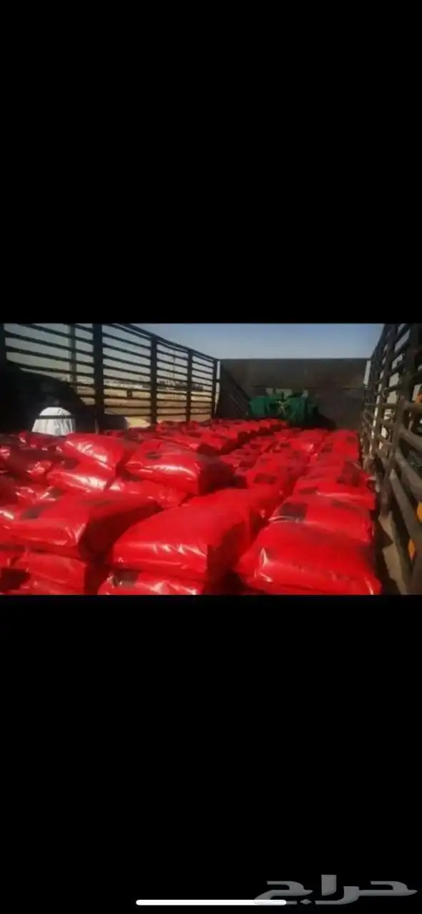 مبيد حشري وجاه الاصلي 2