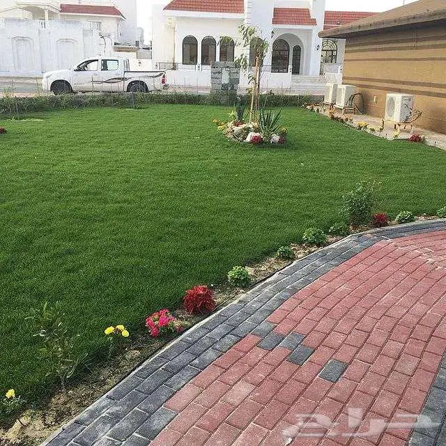 ثيل طبيعي ياباني انتورو فرنسي اسباني أمريكي c2000 عشب صناعي 12