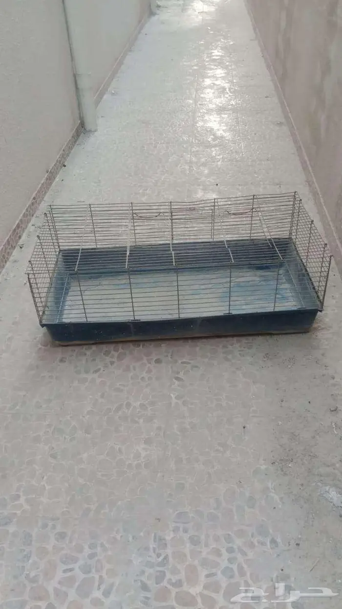 قفص قطط و كلاب 3