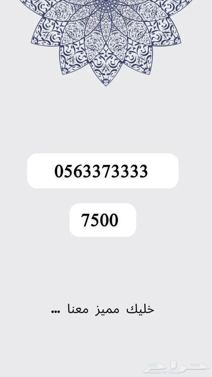 ارقام مميزه والنقل فوري 11