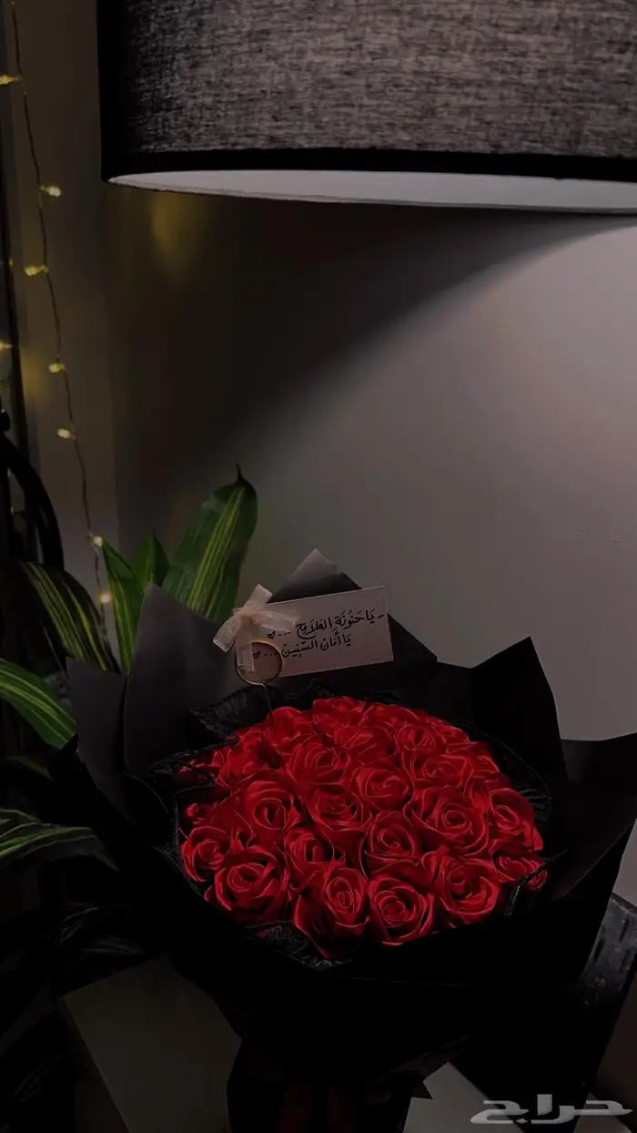 تنسيق 1