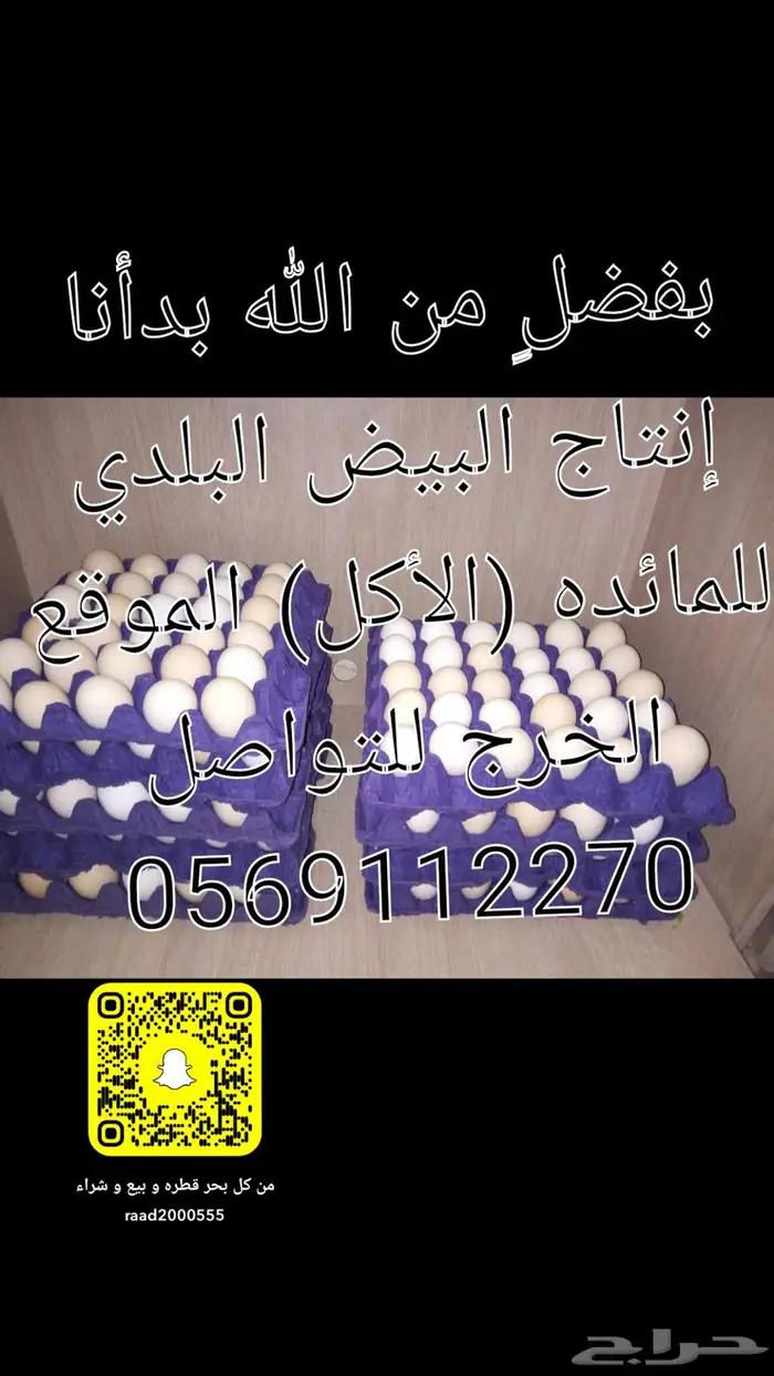 بيض بلدي مائده للأكل الخرج 0