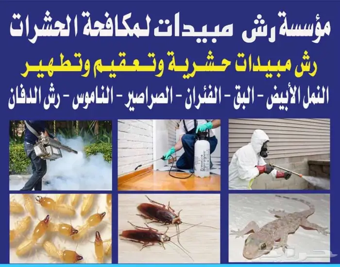 شركه مكافحة حشرات بجازان 0