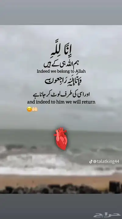 مقاول حبس جبسبورد 7