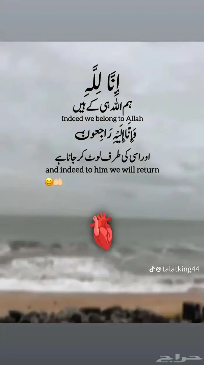 مقاول حبس جبسبورد 7