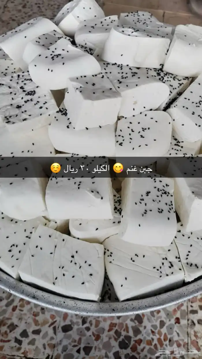 ماشاءلله خاثر غنم صافي وشايط   غنم شرط  لتواصل 4