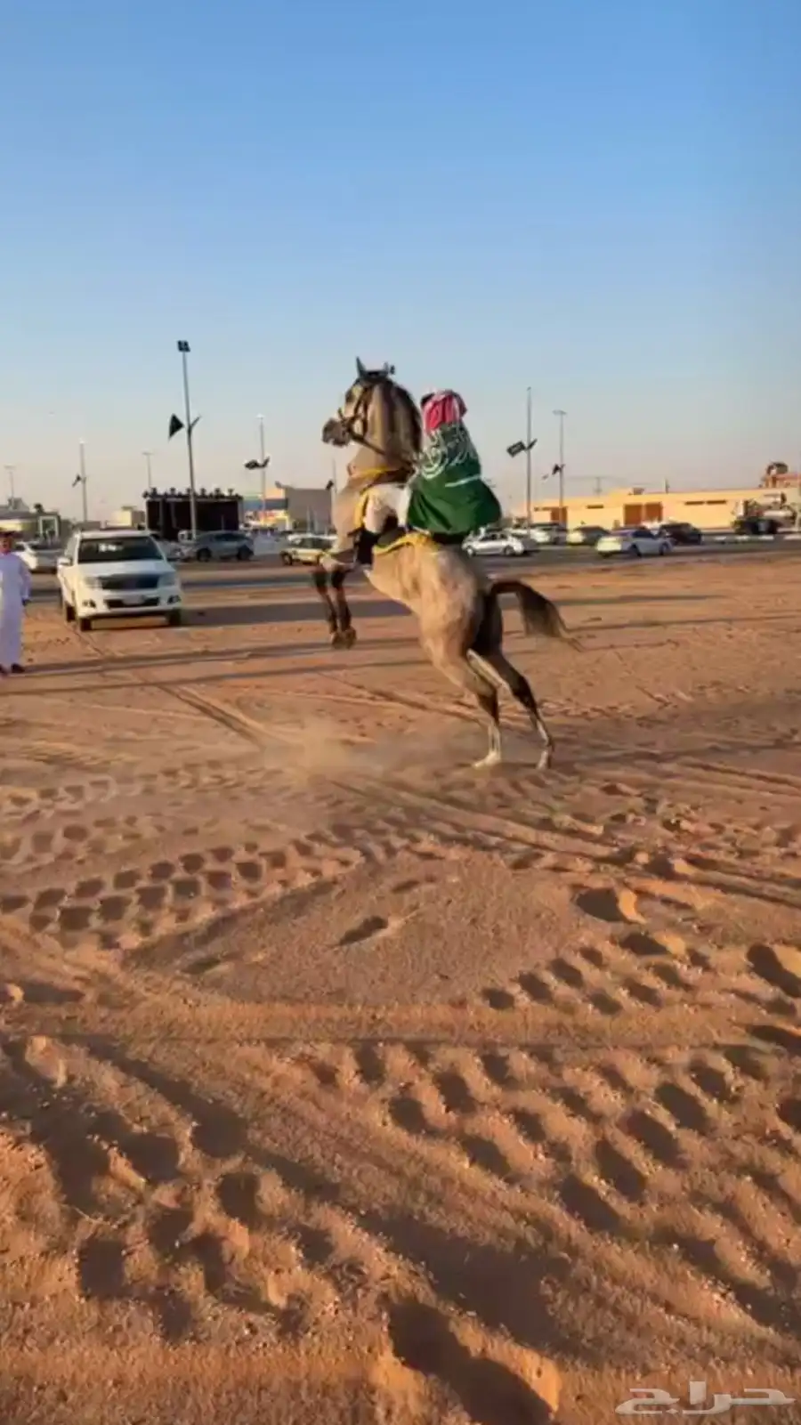 حصان شعبي 4