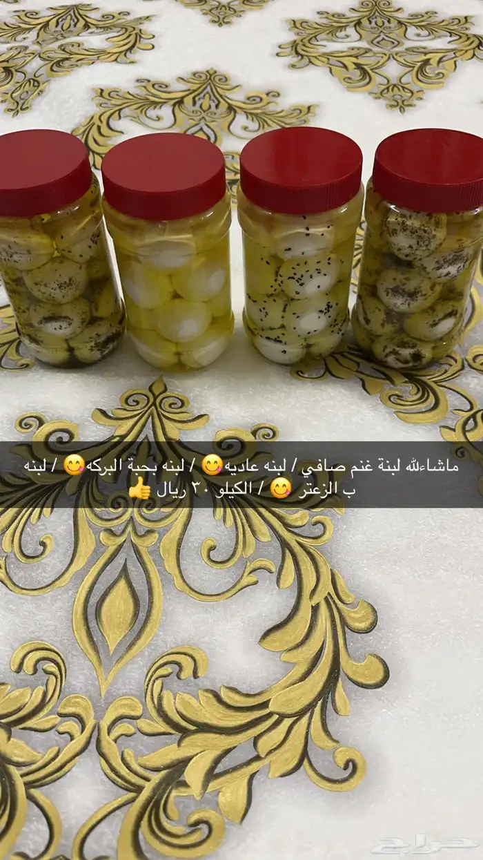 ماشاءلله خاثر غنم صافي وشايط   غنم شرط  لتواصل 2