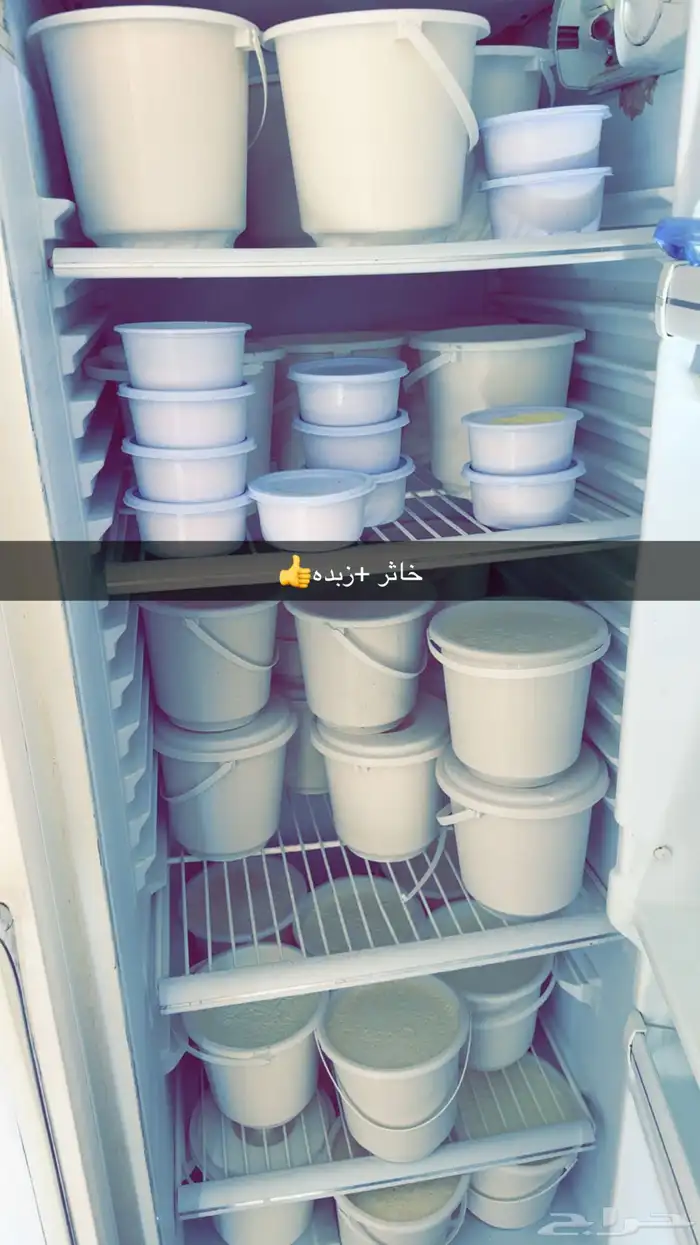 ماشاءلله خاثر غنم صافي وشايط   غنم شرط  لتواصل 6