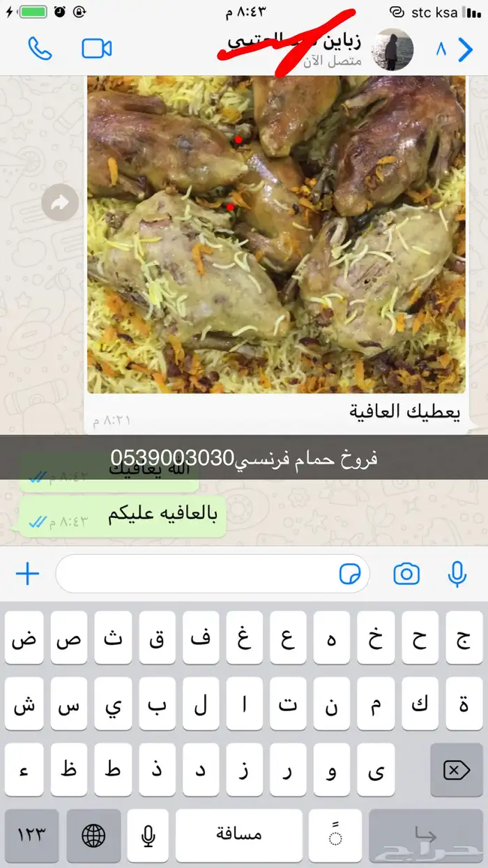 فروخ حمام فرنسي 18
