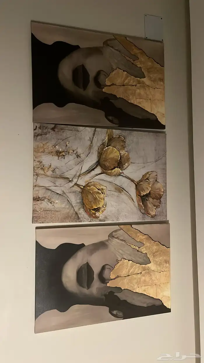 لوحات جديدة للبيع 1