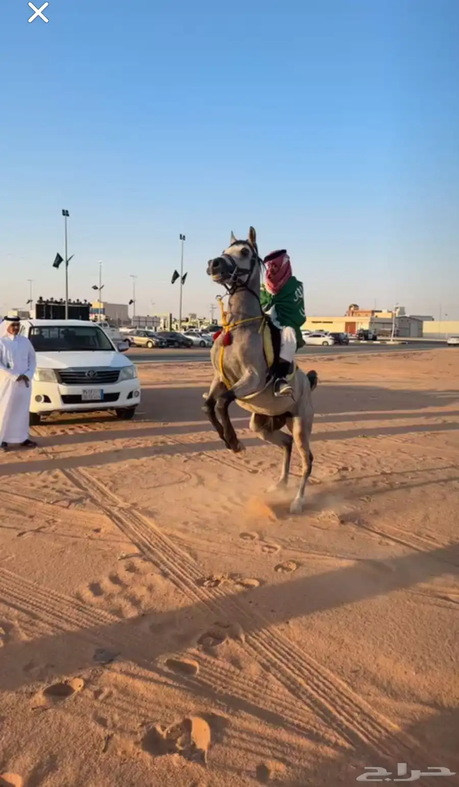حصان شعبي 3