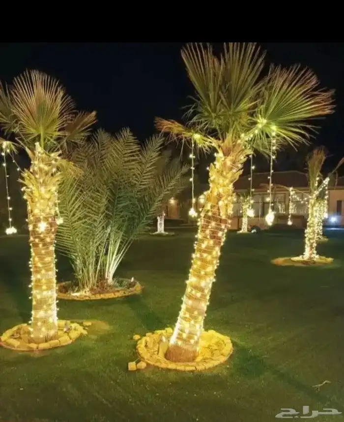 زينة افراح عقود ونشرة كويتي ولمبات زينة 1