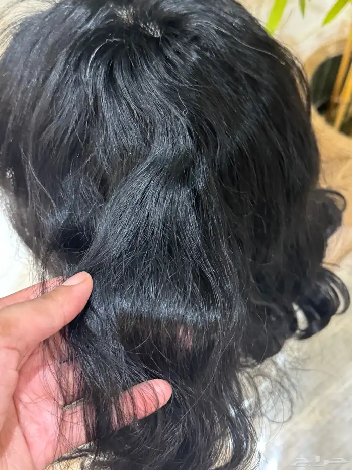 باروكه طبيعية 100 3