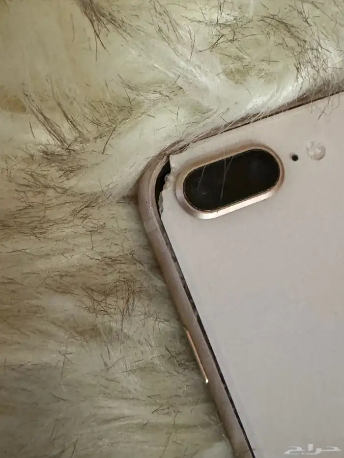 البيع ايفون 8 بلس 3