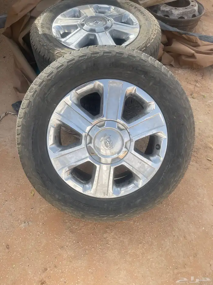 جنوط تندرا 2014 2