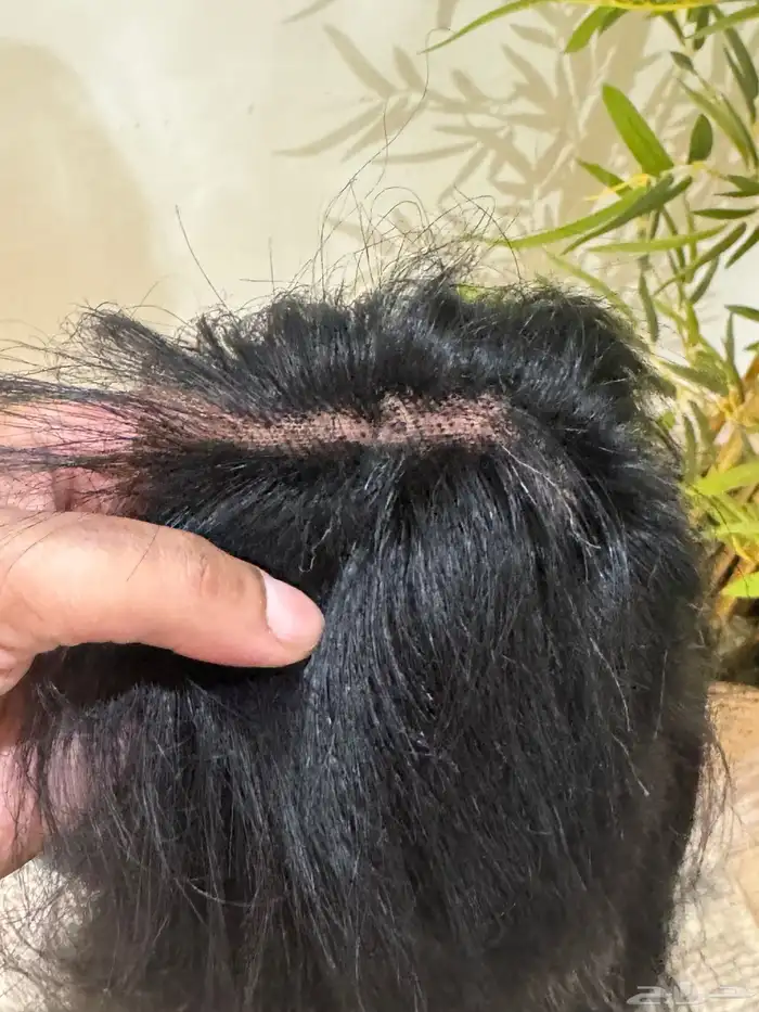 باروكه طبيعية 100 5
