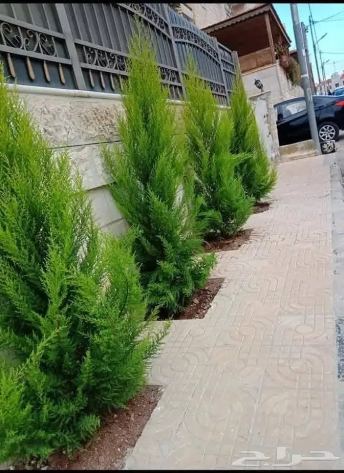 زراعه وحدائق 4