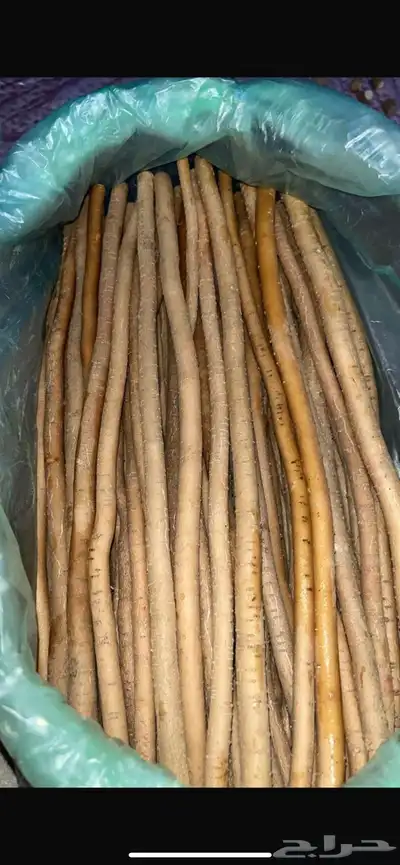 سواكنا الأراك الجديد وصل 5