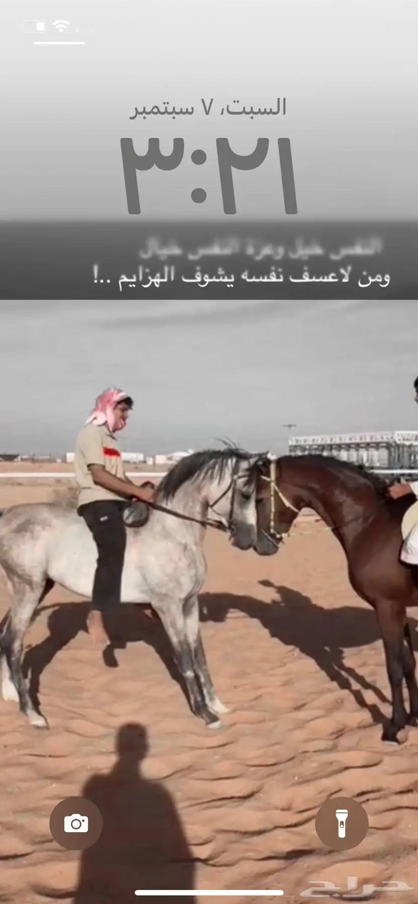 حصان شعبي 1