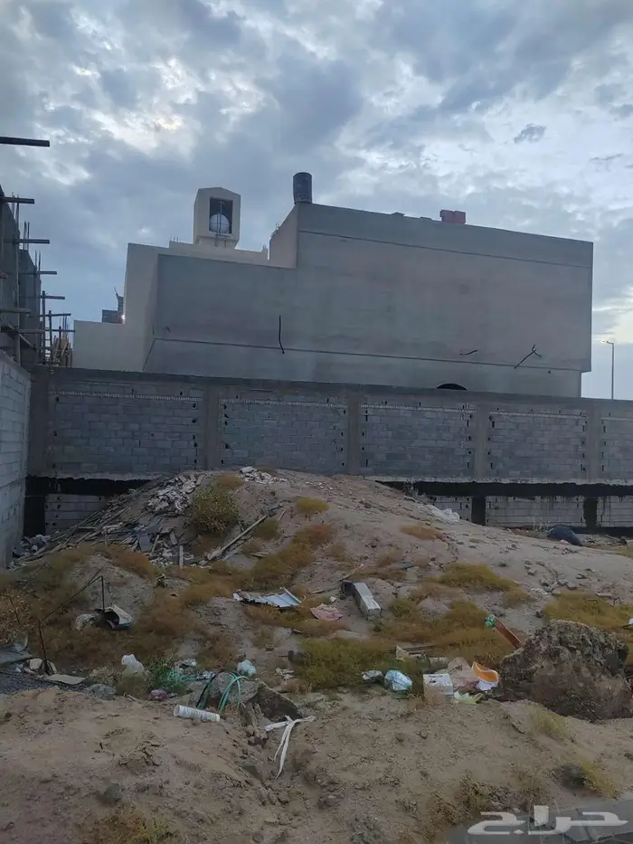 مقاول ترميمات شغل جبس امبورد جبس بلدي شغل لياسه شغل 0