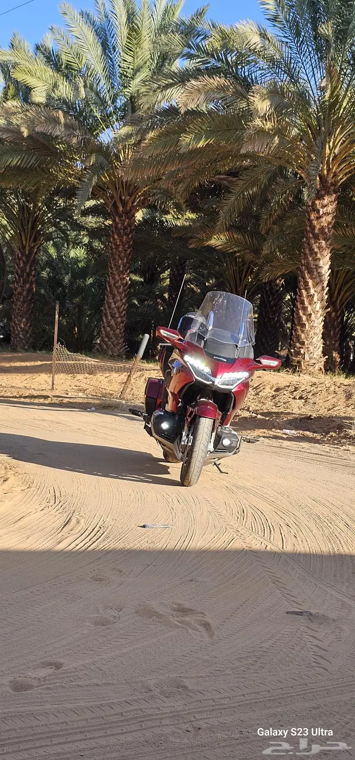 قولد وينق 2018 2