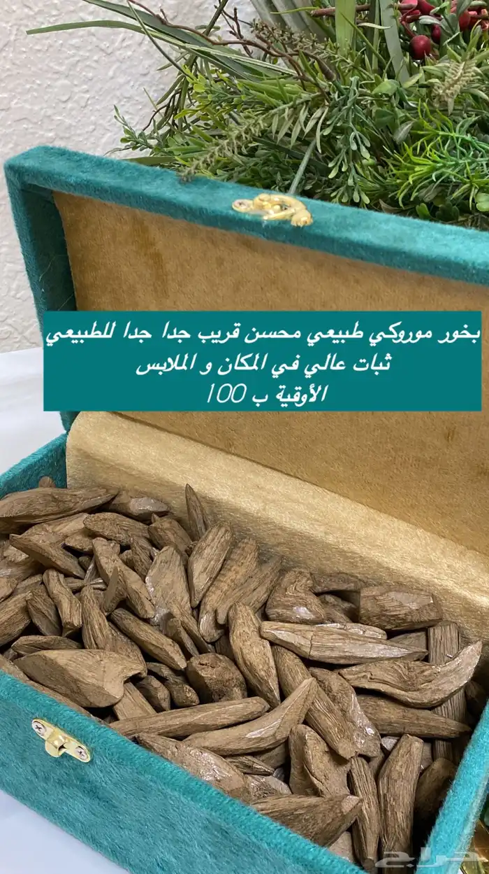 مروكي محسن قريب للطبيعي جدا 0