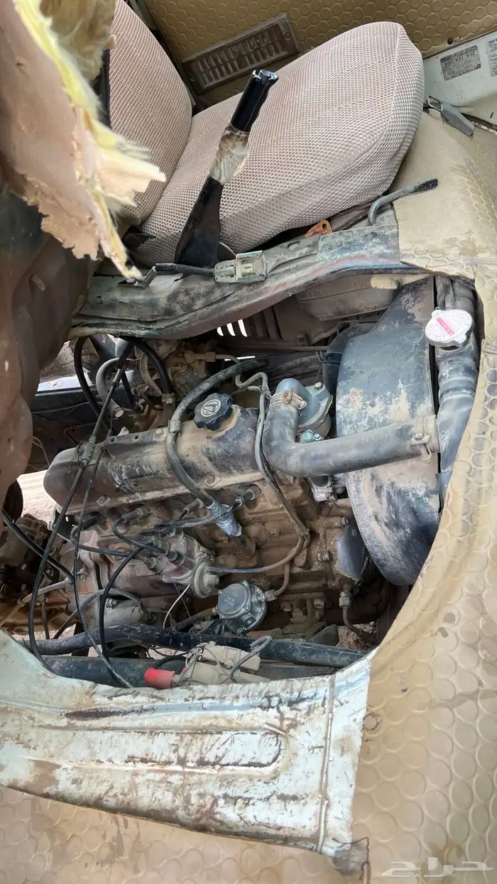 وايت ديهاتسوا 82 12