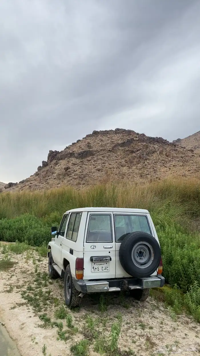 ربع 1991 3