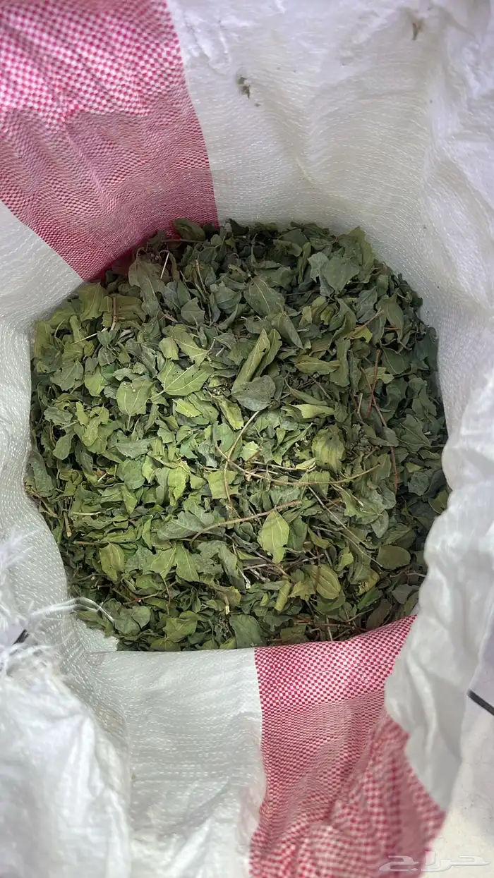 ورق حنا وسدر 0