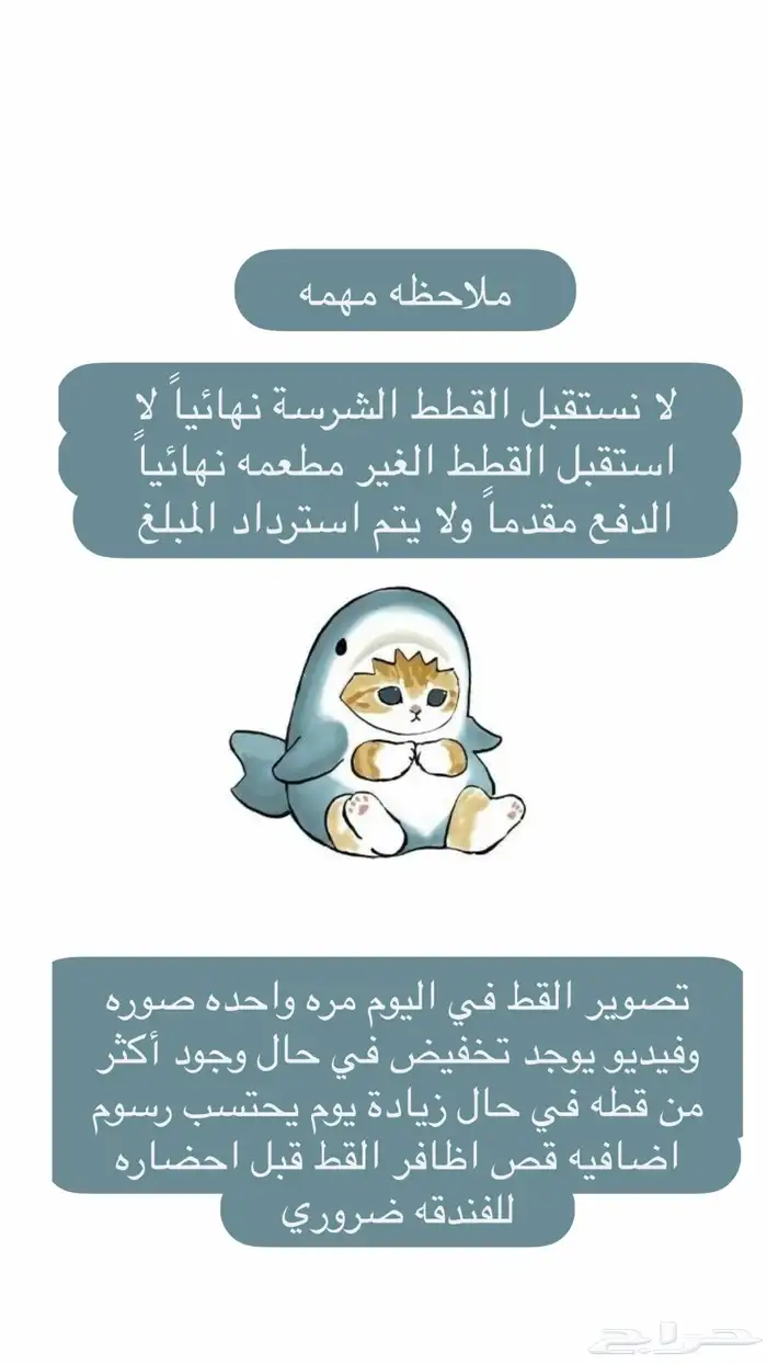 فندقة للقط 2