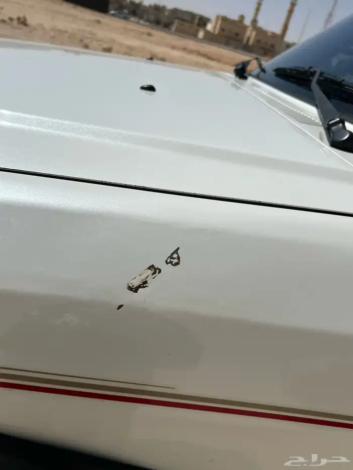 (تم البيع) ربع فتك 2016 20