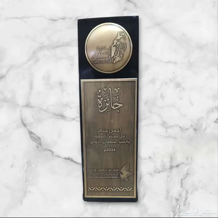 مصنع توين آرت لتصنيع علب الكرتون والجلديات وطباعة الهدايا 85